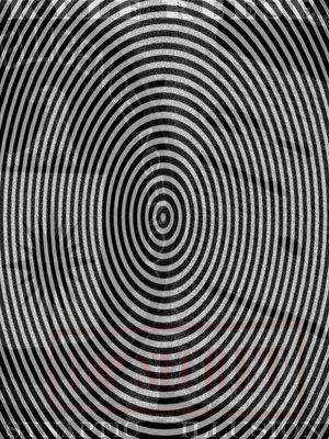 cover image of Synaptic Illusion
